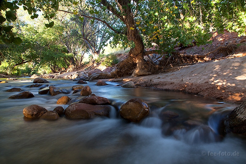 Zauberhafter Virgin River - I
